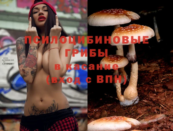 каннабис Заводоуковск