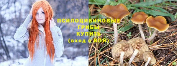 гидропоника Заволжье