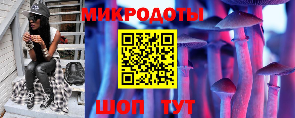 Псилоцибиновые грибы Cubensis  Сибай  Псилоцибиновые грибы мухоморы 