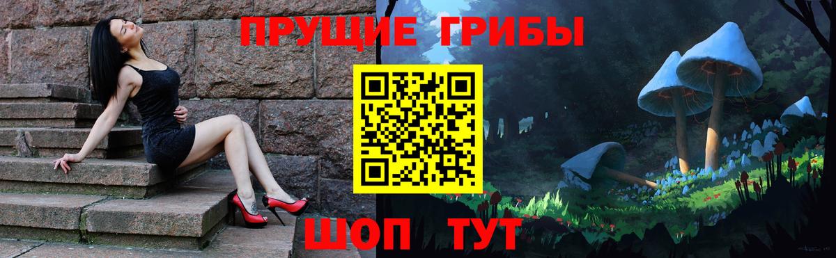 Сибай  Галлюциногенные грибы Psilocybe  Вход с VPN 